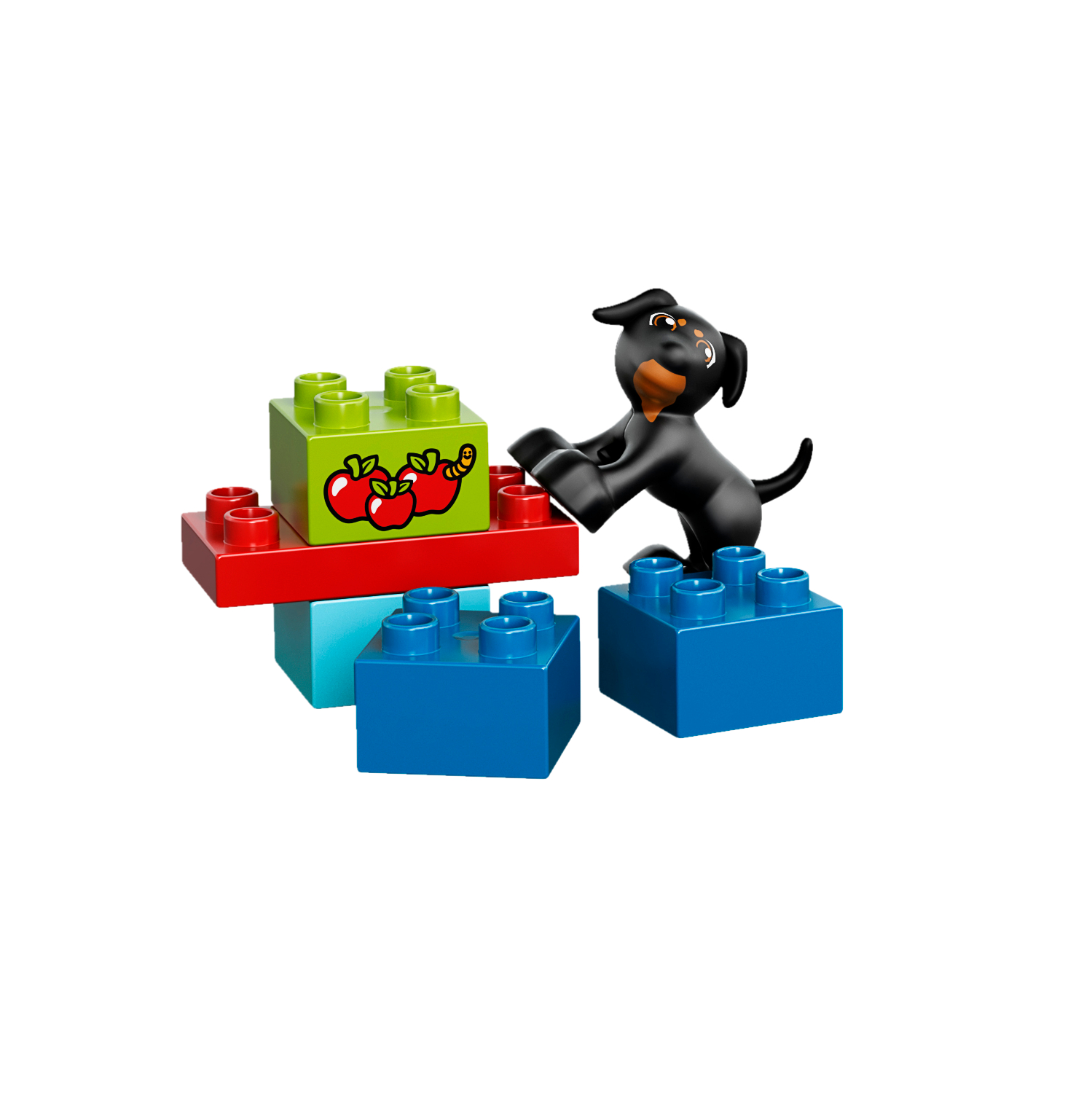 10572 LEGO® DUPLO® Zelena kutija-sve u 1