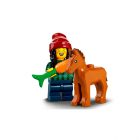 71032 22. Serija Minifigures