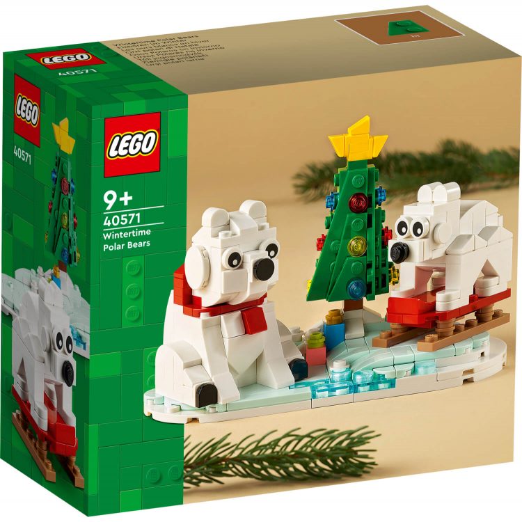 40571 polarni medvjedi