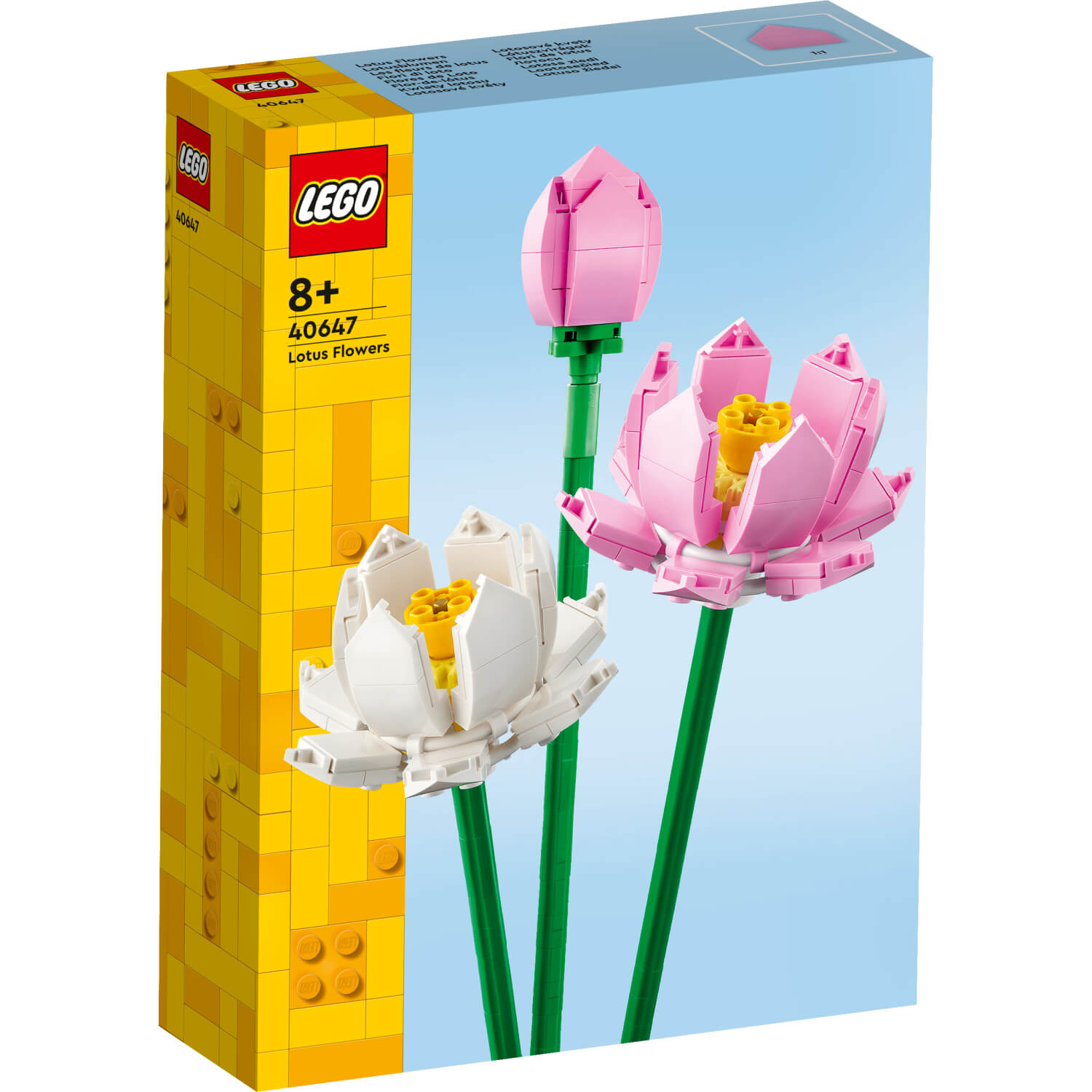 40647 Cvijeće lotos