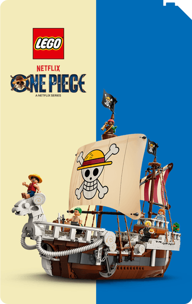 LEGO One Piece